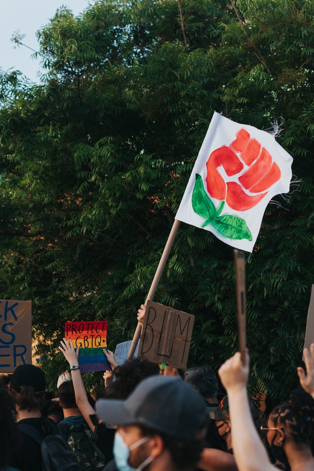 A picture of a white flag with a red fist on it made to look like a rose is the main focus; there are also BLM and LGBTQ+ signs in the background at some sort of protest.