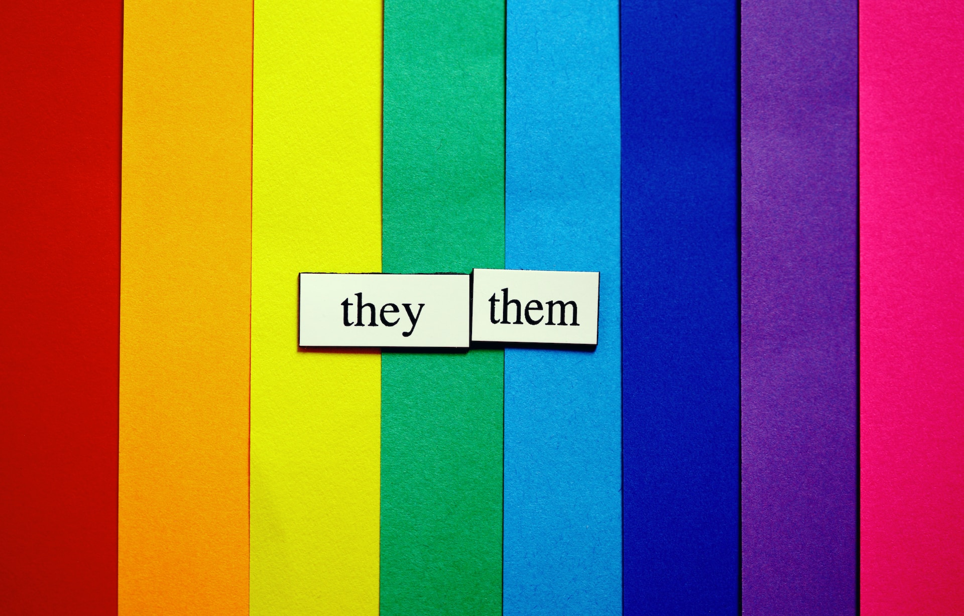 Vertical rainbow stripes and the pronoun They Then cut out of white paper placed in the middle of the picture.